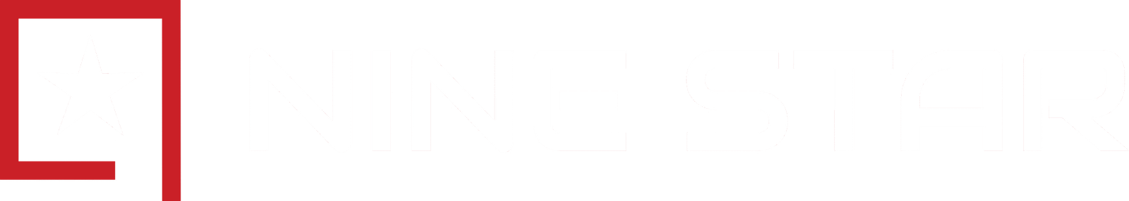 nine star new logo