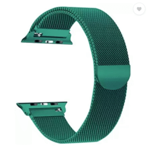 Green Stainless Steel with Magnetic Wristband Strap