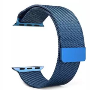 Blue Stainless Steel with Magnetic Wristband Strap
